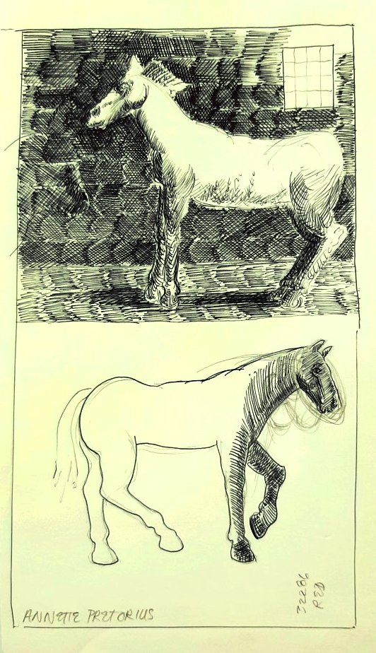 Annette Pretorius - Two horses